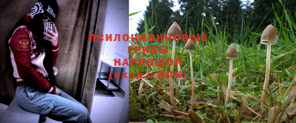 каннабис Беслан