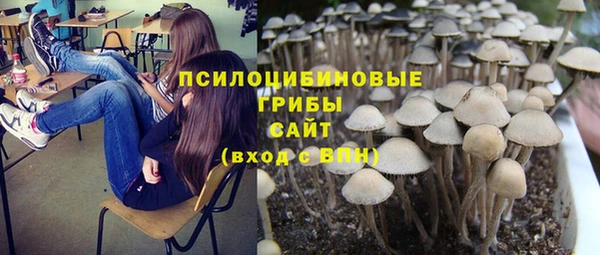 не бодяженный Новозыбков